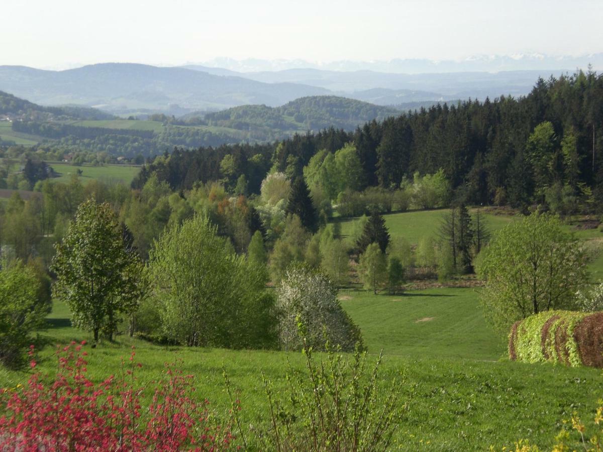 Ferienwohnungen Pichler Hohenau Zewnętrze zdjęcie